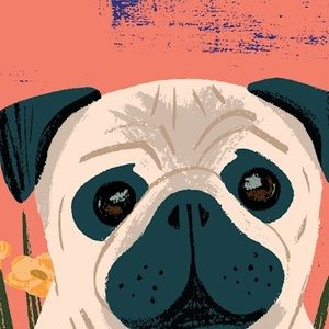 Meet your Posher, Bianca